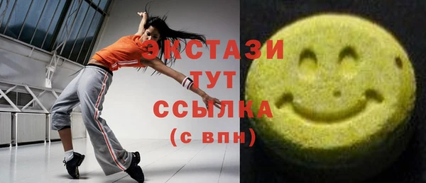 дмт Богородицк