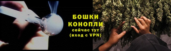 дмт Богородицк