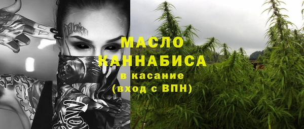 дмт Богородицк
