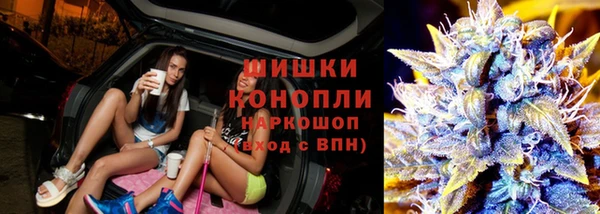 дурь Богданович