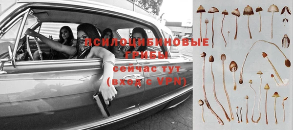 дурь Богданович