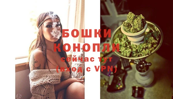 дурь Богданович