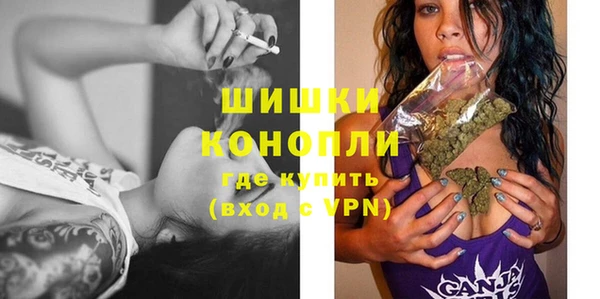 дурь Богданович