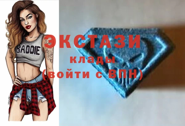 дмт Богородицк