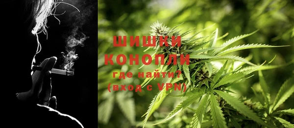 дурь Богданович