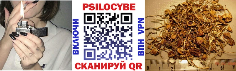 Галлюциногенные грибы Psilocybine cubensis  что такое   Южно-Сахалинск 